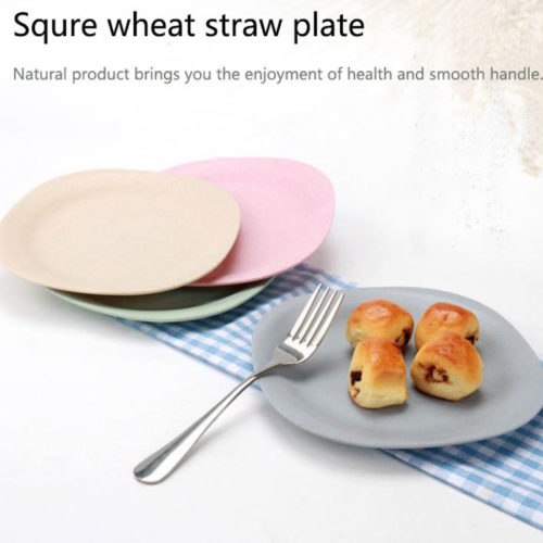 BPA Free Wheat Straw Tableware Plate