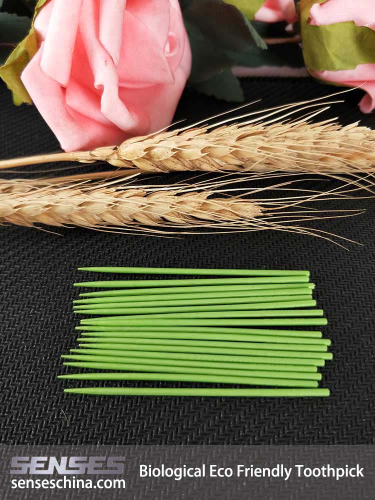 Biological eco friendly toothpick supplier