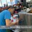 Precision Mold Assembly and Inspection for Injection Molding at Senses China